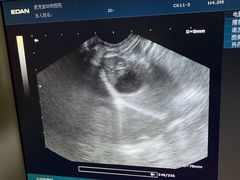 -瑞鹏宠物医院·爱宠堂(环西分院)