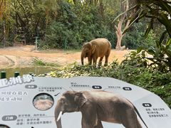 -广州长隆飞鸟乐园