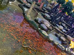 -鸿通城购物中心