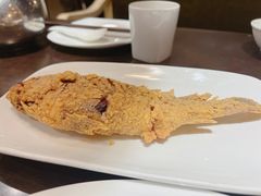 -老牌坊鲁菜名店(聊城美食岛店)