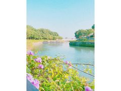 -深圳湾公园(南山区)