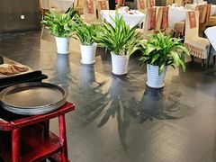 -峨嵋酒家(牡丹园店)