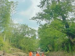 -天目湖松岭竹海漂流