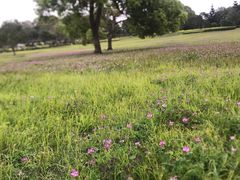 -福建鲤鱼洲酒店