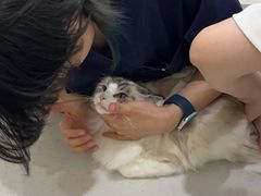 -佩兹宠物医院肿瘤专科·眼科·牙科(黄浦店)