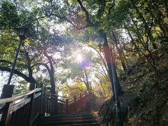 -南国桃园旅游度假区