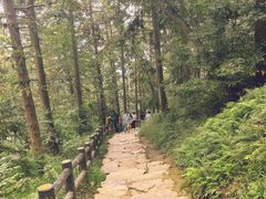 -冶父山国家森林公园
