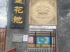 -莲花池公园
