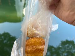-黎里古镇