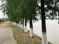 -太阳岛度假酒店