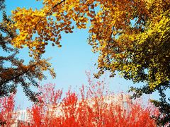 -辽宁大学(崇山校区)