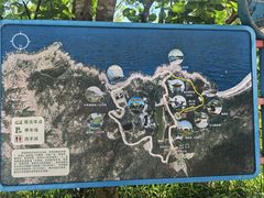 -广东惠东海龟国家级自然保护区