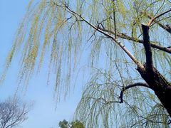 -苏州文庙(姑苏区)