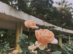 -人民公园(罗湖区)