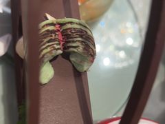 -花家怡园