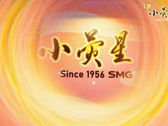 -小荧星艺校(大宁分校)
