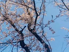 -神木二郎山风景区