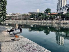 -石炮台公园