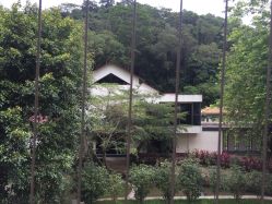 -爱帝宫月子中心(罗湖别墅院)