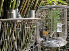 -老洋房花园饭店(绍兴路店)