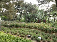 -长辛店二七公园