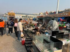 -中环花鸟鱼虫市场