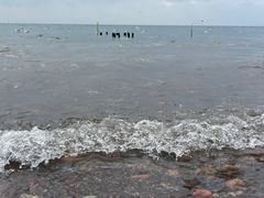 -抚仙湖禄充风景区