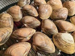 -围炉肉舍丹东海鲜烤肉·烤活鳗(步行街店)
