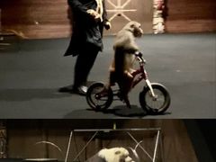 -汕头蓝水星欢乐世界
