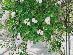 -无锡新湖铂尔曼大酒店