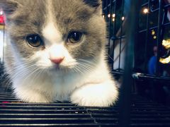 -绿地风尚天地广场