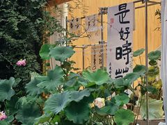 -皮市街
