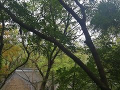 -南山风景名胜区