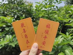 -深圳市中科院仙湖植物园