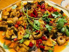 鲶鱼-龙珠饭店-深夜大食堂(五爱西直街店)