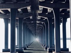 -宝安西湾红树林湿地公园