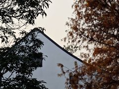-中国科学院华南植物园