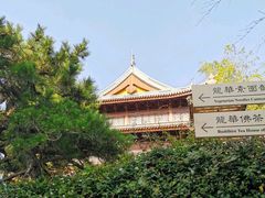 -龙华素斋(龙华路店)