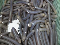 -南沙十九涌渔人码头-南门