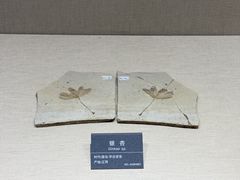 -安徽省地质博物馆