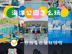-海合安成都极地海洋公园