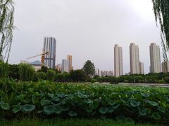 -后襄河公园