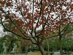 -北京师范大学(珠海校区)