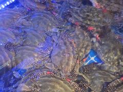 -77号渔船·蒸海鲜青岛菜(积米崖店)