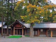 -北海道神宫