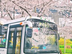 -上海南浦大桥长途旅游客运站