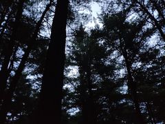 -黄椅山火山森林公园