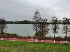 -鹤之洲湿地公园