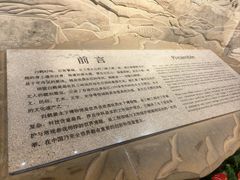 -白鹤梁水下博物馆