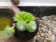 -湘湖金融镇